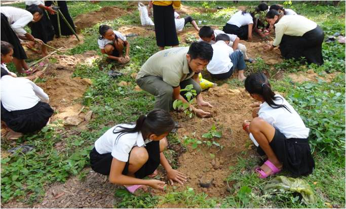 Image result for images of importance of tree plantation