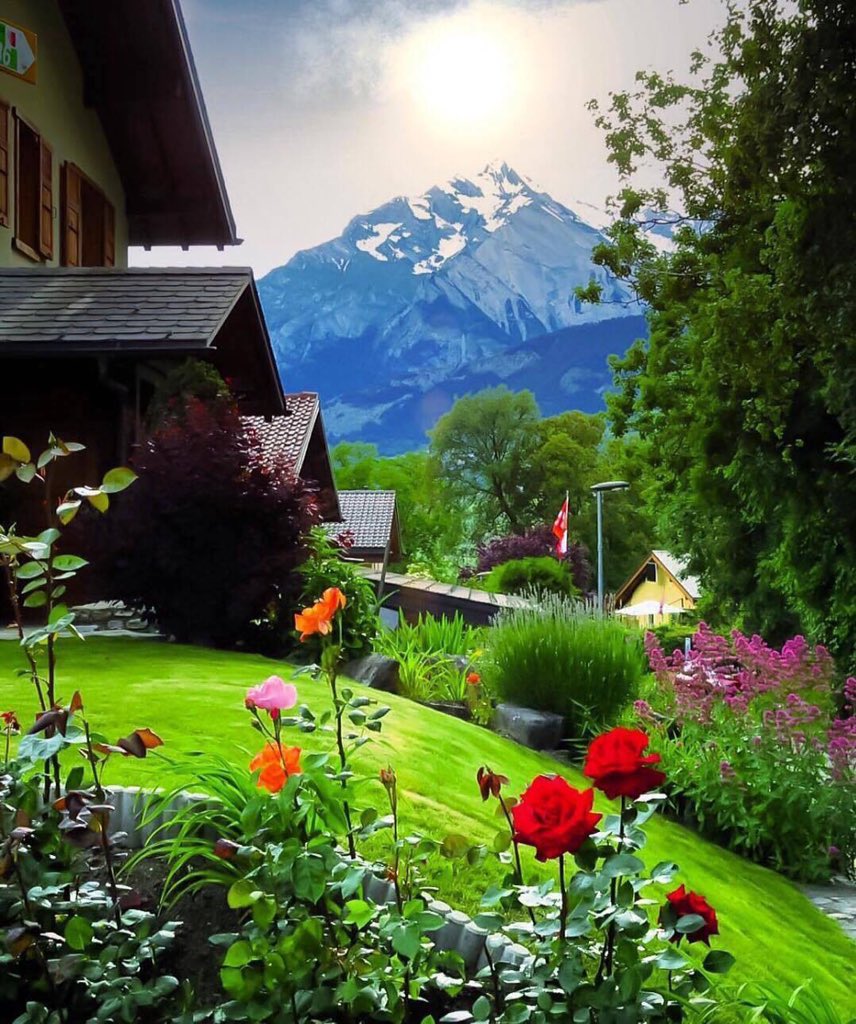 جيفارا علي اليساري (@69_aad) on Twitter photo 