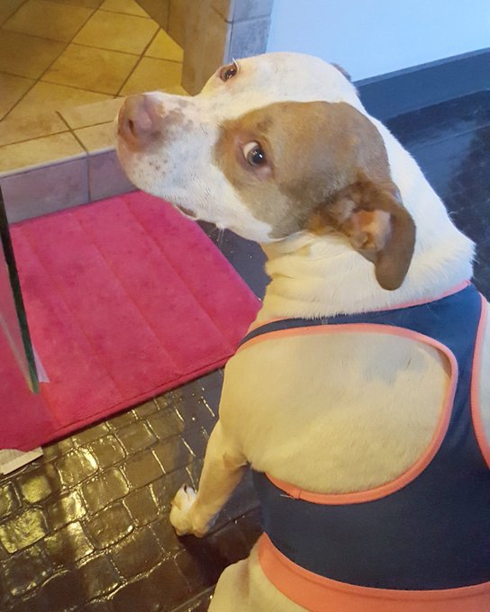 Mom. No. https://t.co/j8Ky3qwF6i