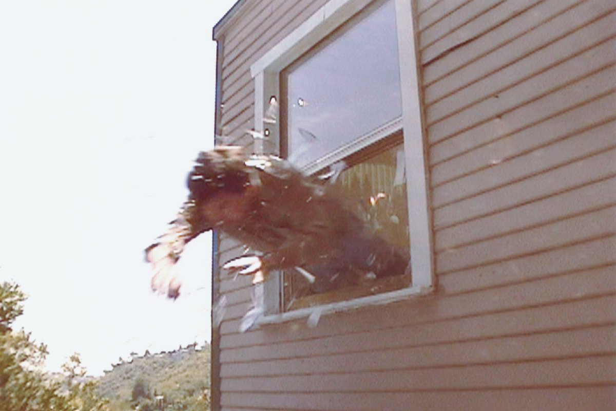 TreeCP_'s tweet image. "So, what do you plan on doing with your future?"