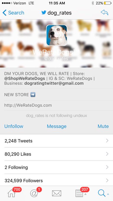 I cannot not handle the hilarity of this Twitter account ? @dog_rates https://t.co/k2XdsgGG4a