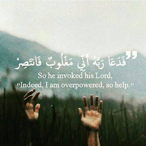Dr_Mohammed_Has's tweet photo. اللهم يا كاشف الغم ورافع الهم انصر عبادك المظلومين بالارض وانصر اللهم المسلمين واحقن دمائهم https://t.co/29qHttsNOm