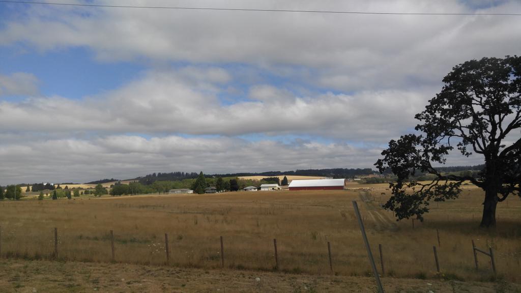 Road tripping &amp; listening to 🎶. Husband said he's surprised I hadn't played #IntoYou...he likes it! #EricNam #Kolaj