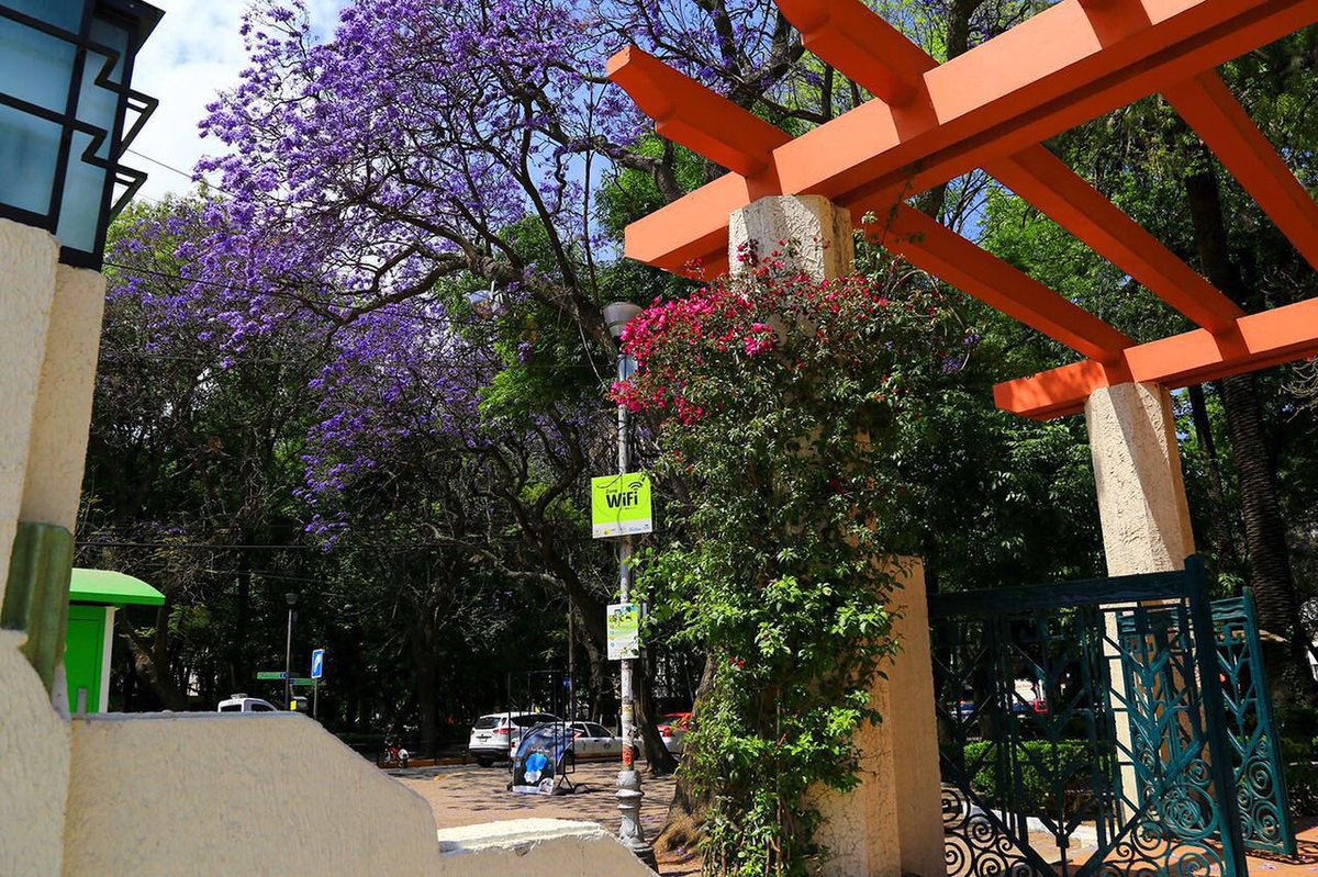En_elDF's tweet photo. 20 nuevos sitios en Coyoacán, Álvaro Obregón, Magdalena Contreras, Tlalpan y Xochimilco tendrán Wi-Fi gratuito #mm https://t.co/i7KfZoIs8b