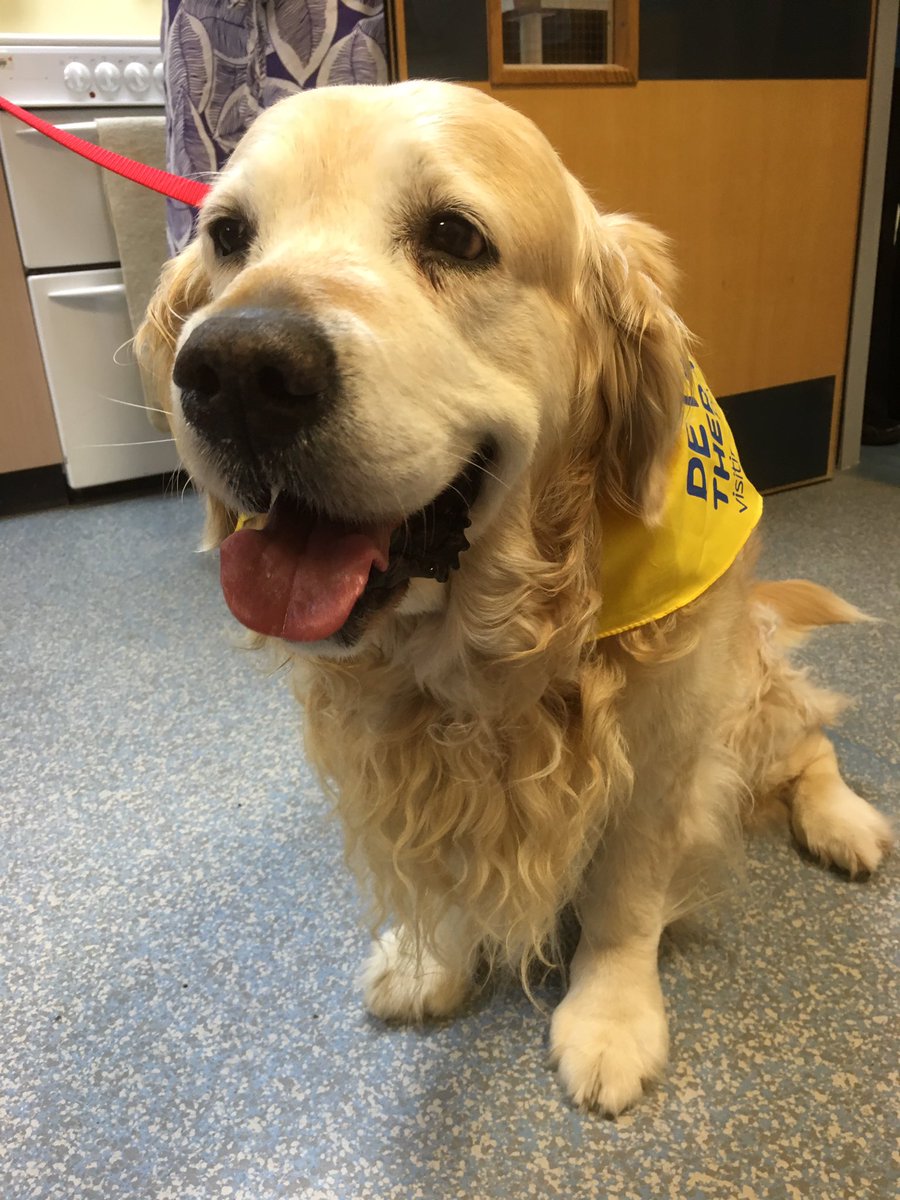 Sarah Merritt (@sarahjmerritt18) on Twitter photo Welcome Ted, our PAT friend to the Children's Unit. <a href="/GWH_NHS/">Great Western Hospitals NHS Foundation Trust</a>. Looking forward to seeing you and Gill from September. Welcome Ted, our PAT friend to the Children's Unit. <a href="/GWH_NHS/">Great Western Hospitals NHS Foundation Trust</a>. Looking forward to seeing you and Gill from September.