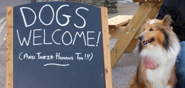 Don't delay, bring your pet today! You can join us for a drink, book a table or just drop by.