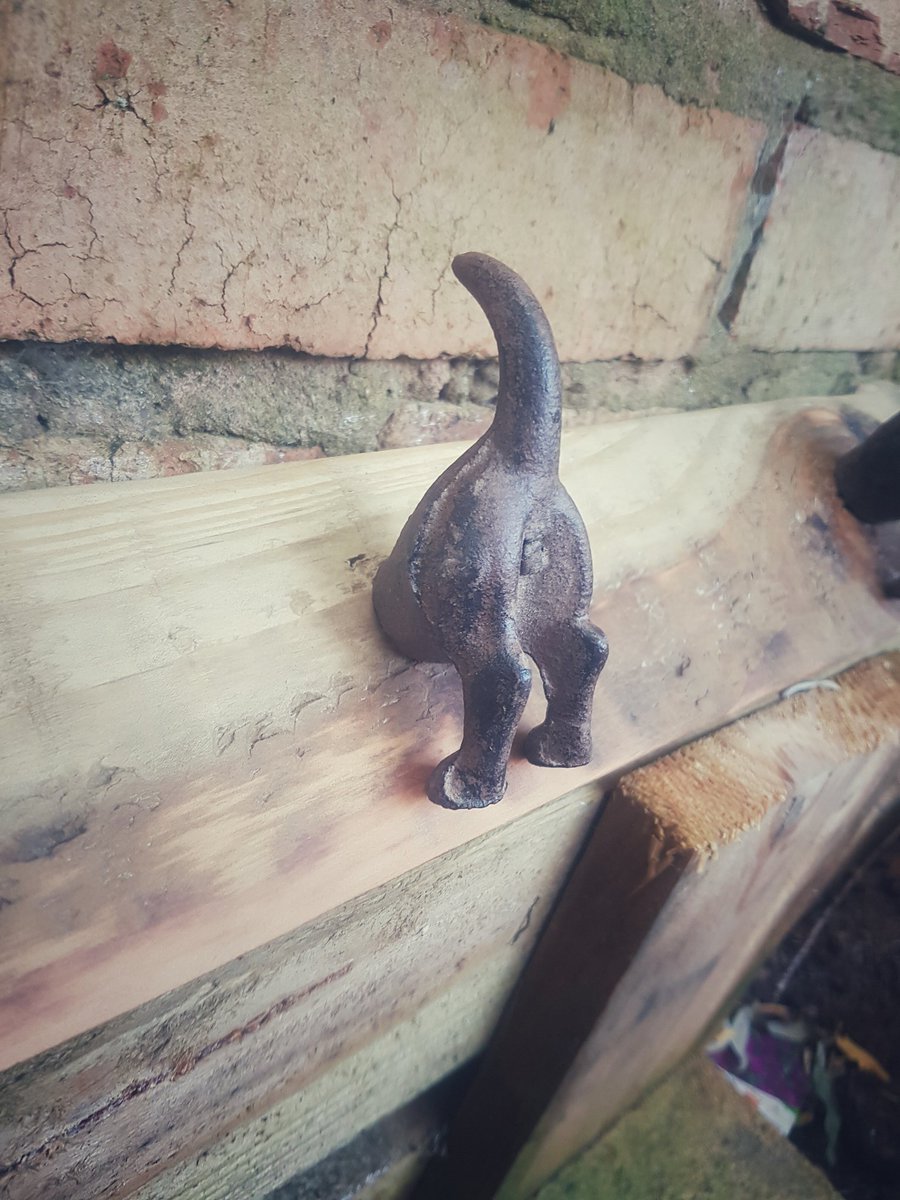 Check out these doggy hooks! #staffordshirehour facebook.com/thesecretgarde… #stafford #design #home