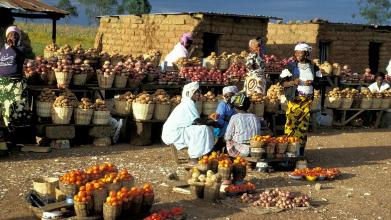 IFC_org's tweet photo. #Nigeria's new collateral registry aims to increase access to finance for small business: https://t.co/PFhKQTHMDO https://t.co/Je70eTw3Vt