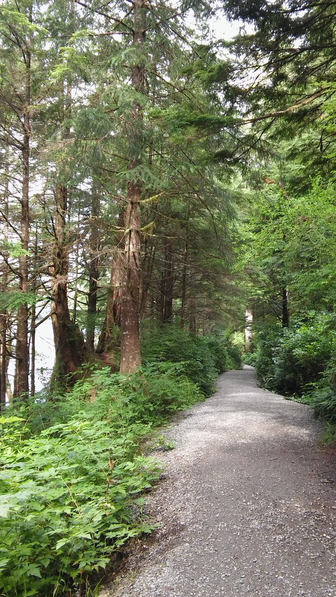 Dincoo1's tweet photo. Missing #Ketchikan! We spotted otters here at #WardLake! https://t.co/wYuIhgrsAY