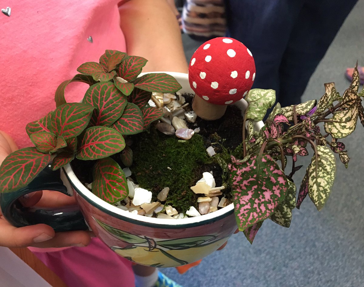 PPL_Riverton's tweet photo. Imagination coming alive at the library! Make your own #FairyGarden https://t.co/m4Dto2E1oJ @PortPublicLibME https://t.co/Fl4YDM4vQ0