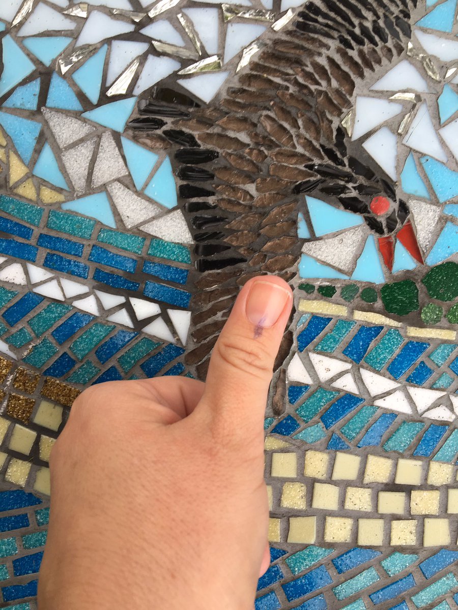 Kirsty Hofhuis tweet media