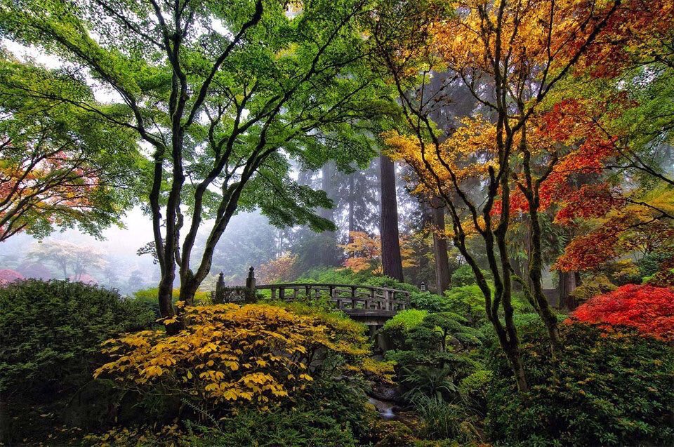 AwesomeEarthPix's tweet photo. Bridge In Japanese Garden, Portland | Photography by ©Roman Johnston https://t.co/OLmS1TJwI3