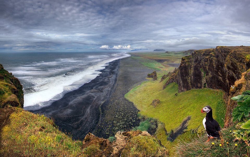 AwesomeEarthPix's tweet photo. Iceland, Land Of The Puffins | Photography by ©Christian Schweiger https://t.co/fHDRFvGhCT