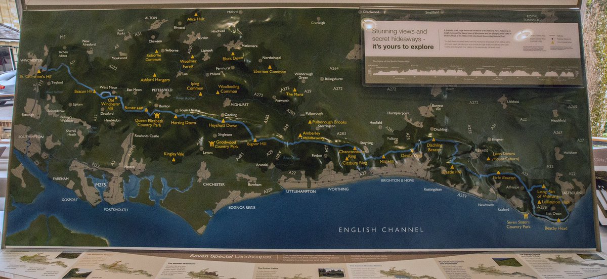 Ray Turner tweet media