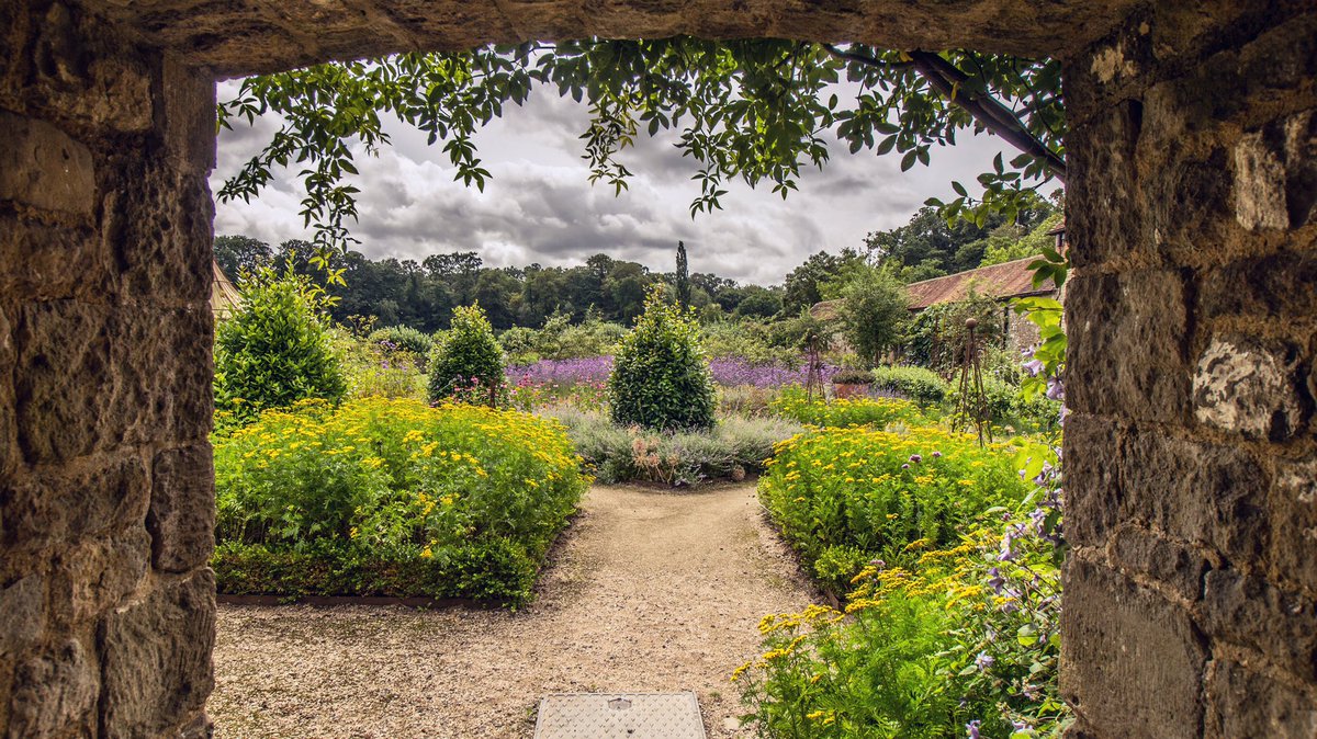 Ray Turner tweet media