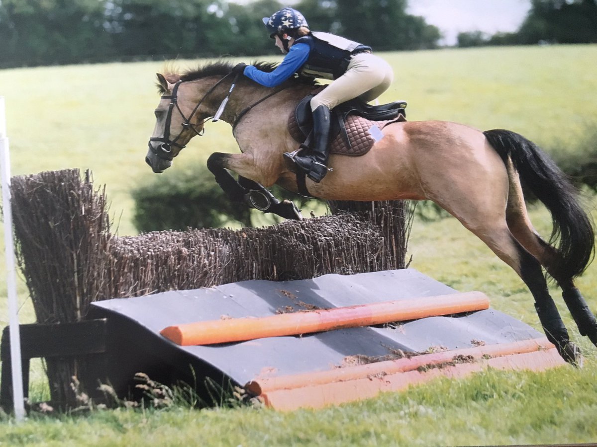 Feeling rather proud rn ☺️ 2015 - 2016🐴I have so much gratitude to everyone who has helped me get where I am today!