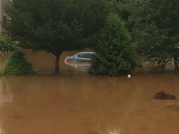 View image on Twitter