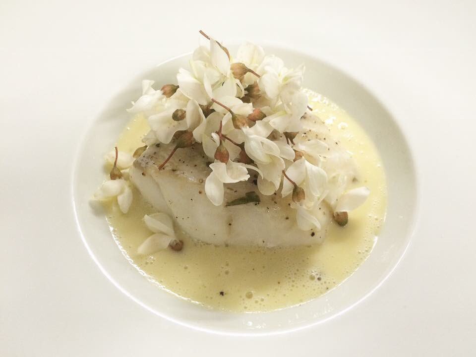 LudovicDumont's tweet photo. Pavé de turbot cuit au naturel, sauce au beurre d'acacia 🌼🌼
#poisson #mer #fleurs #acacia #sauce #fooding #beurre https://t.co/d34a9lPdNI