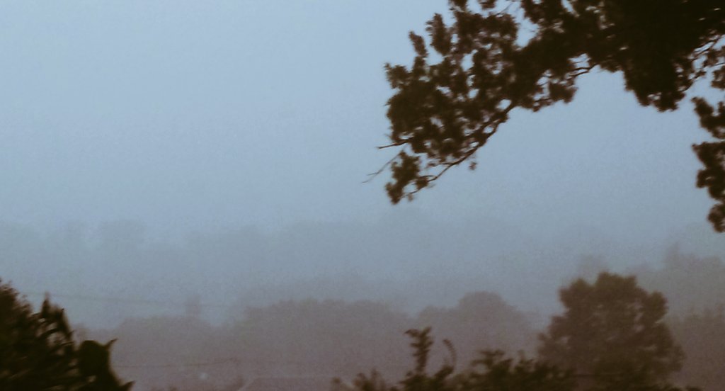 The rain! Thank you Lord for answering my prayers and seeing me through. Forgive those that try to harm me.