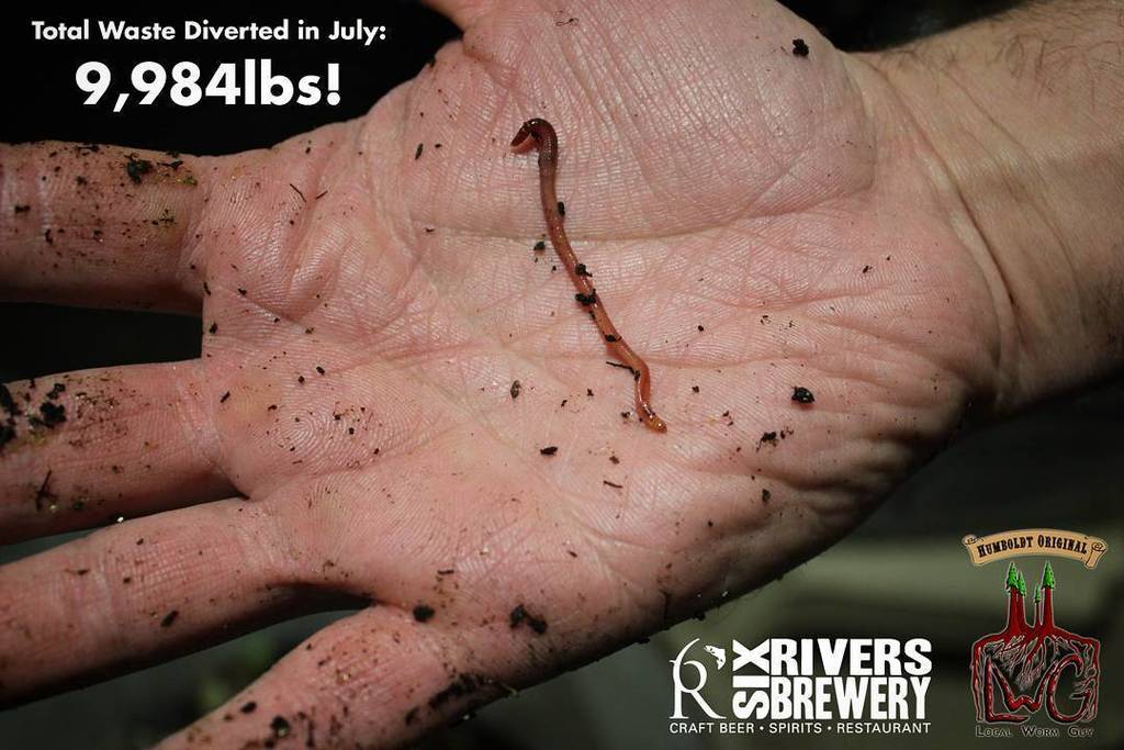 Zero Waste Update: Thanks to our efforts and the hard work of oir friend The Local Worm Gu… ift.tt/2aUCUH4