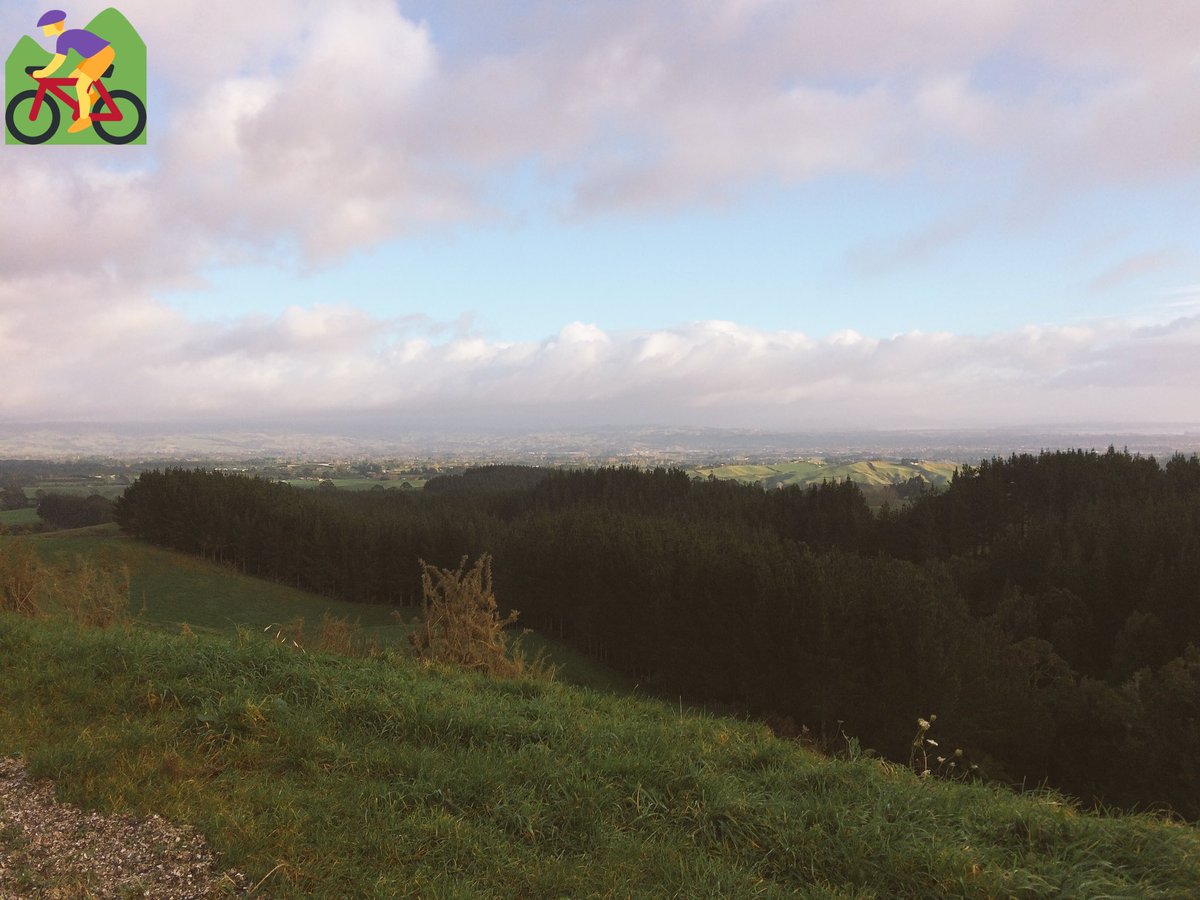 Hayden_Wilde tweet media