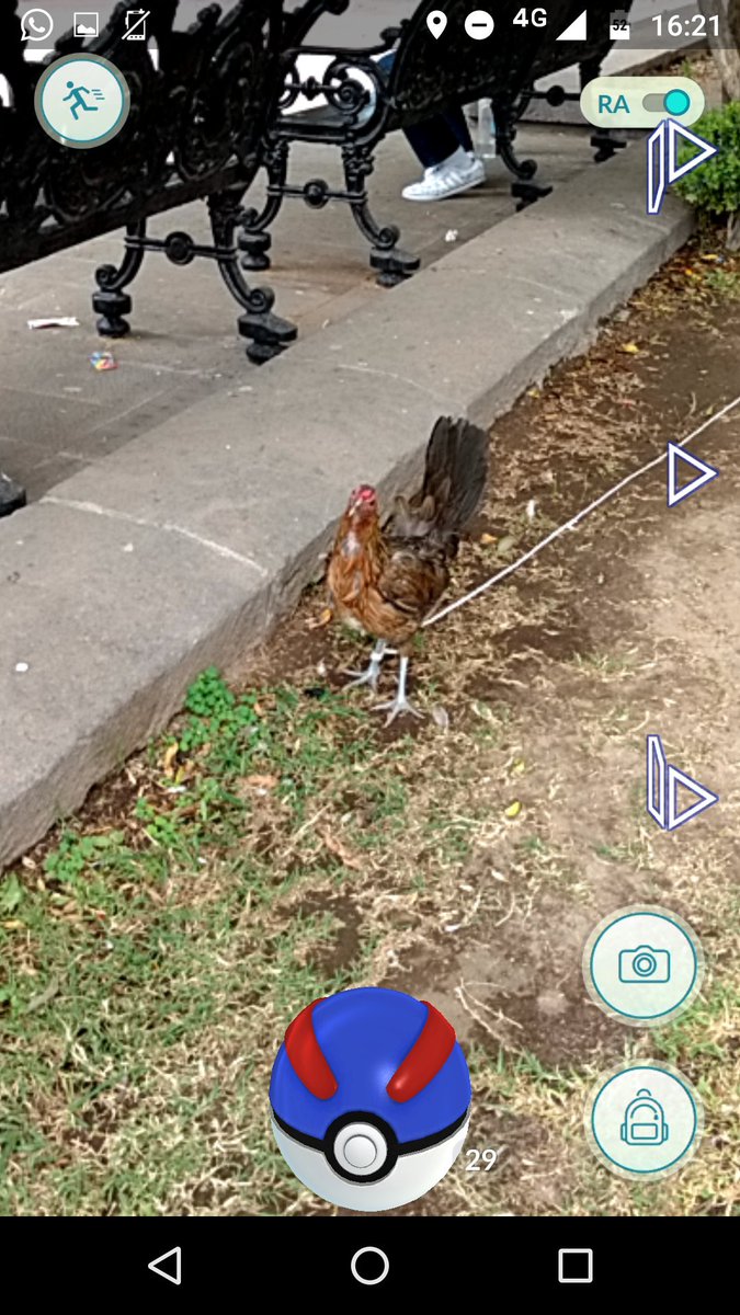 iOrlando3's tweet photo. Alguien que me diga como atrapar a esta madre, ya le aventé como 20 superballs y nada :( #PokemonGO https://t.co/sRRBOUmr4m