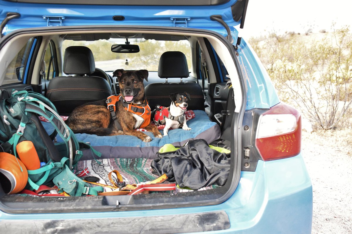 Katie Mogowski tweet media