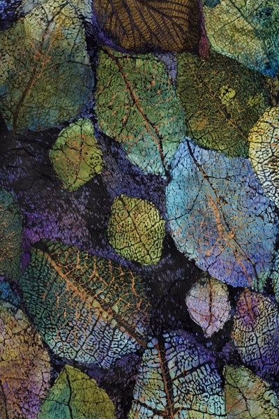 visualaccion's tweet image. #visualaccion