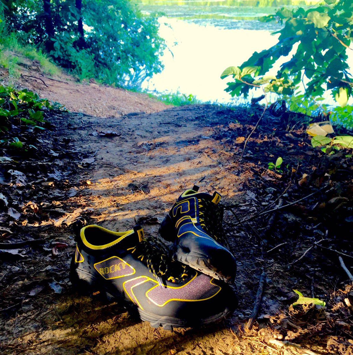 MissouriHowell's tweet image. Had a nice run in the new @Rockys2v trail runners tonight. Felt good. #trails @RockyGear