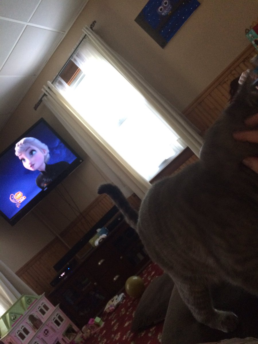 FandomsftPizza's tweet photo. @JordanDoww I'm watching it with my cat!! https://t.co/064923dvyJ