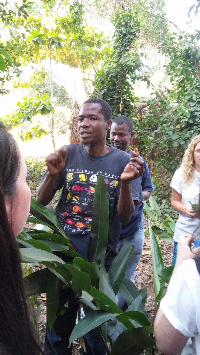 AQZanzibar's tweet photo. Mbarouk's spice tour was ace! It was  surprising to see the plants they come from! The beans in his hand are coffee! https://t.co/x12huVVZVz