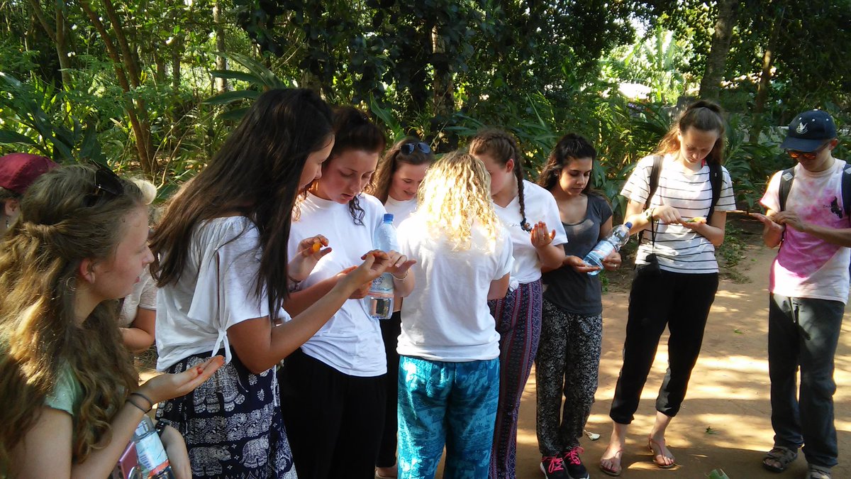 AQZanzibar's tweet photo. Mbarouk's spice tour was ace! It was  surprising to see the plants they come from! The beans in his hand are coffee! https://t.co/x12huVVZVz