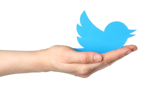 jeffbullas's tweet photo. Top 5 Twitter Management Tips to Increase Your Followers Organically https://t.co/2sDVDnZghC  #twitter #socialmedia https://t.co/4q9mHmJsBb