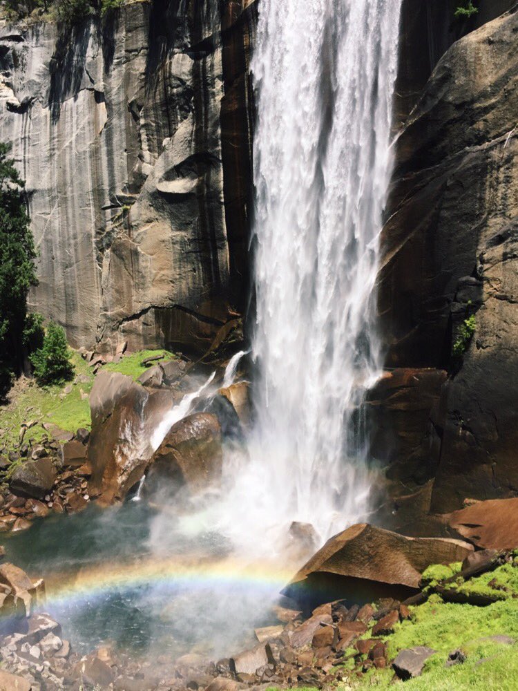 savannahrelyea's tweet image. Santa Barbara, Big Sur, and Yosemite.