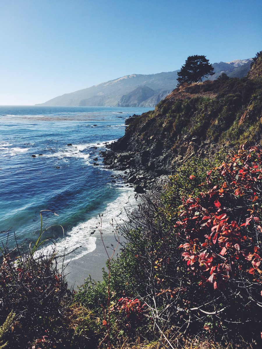 savannahrelyea's tweet image. Santa Barbara, Big Sur, and Yosemite.