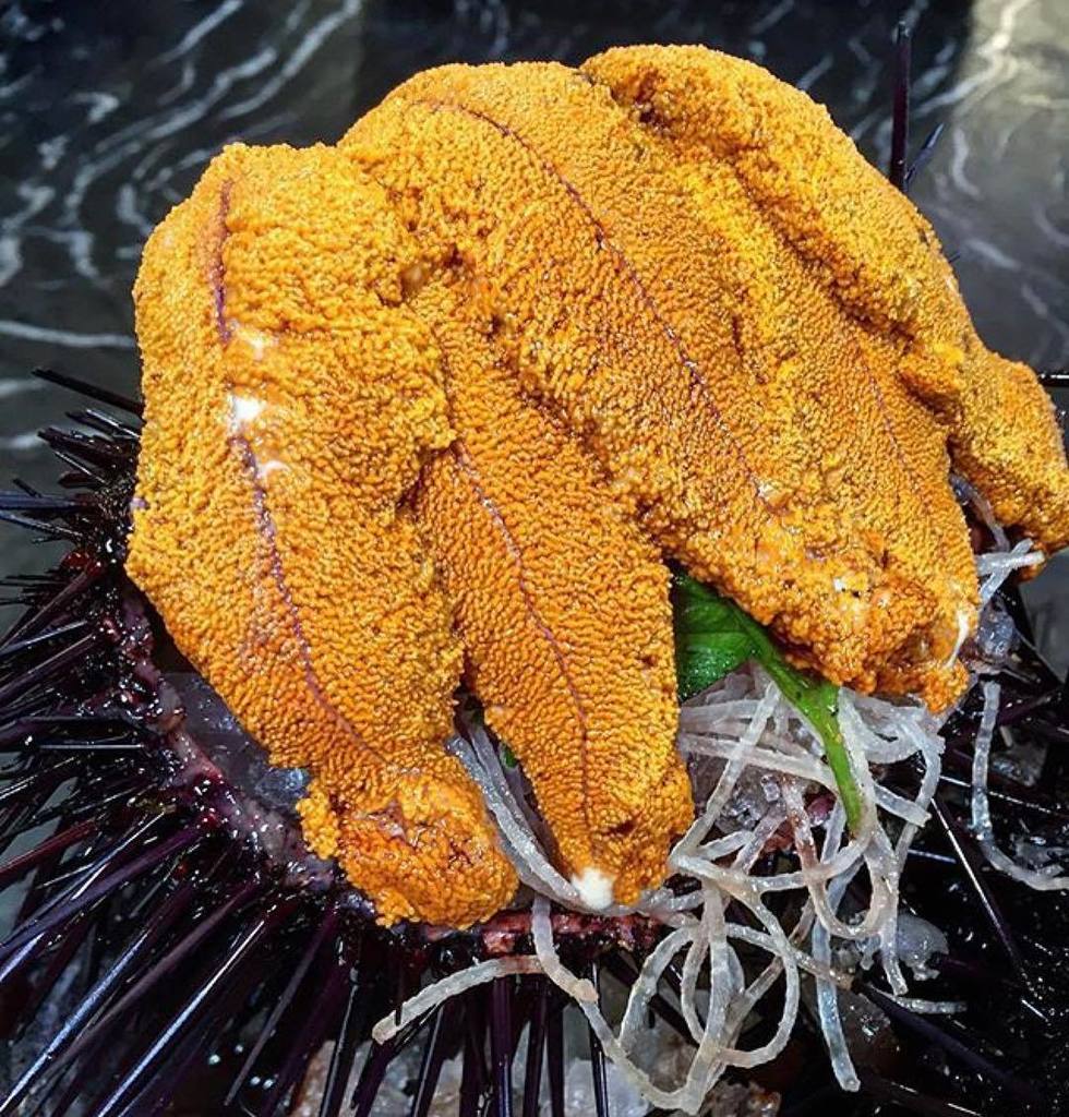 fishbonekitchen's tweet photo. We love making dreams come true! #SanDiego #local #seaurchin #yummy #fishbonekitchen #libe… https://t.co/TS5Qp3ho53 https://t.co/woPKdqk6Jc