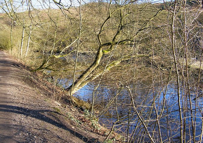 YourTameside's tweet image. tinyurl.com/j9qmtuc Etherow Lodge Park named as one of best in Britain