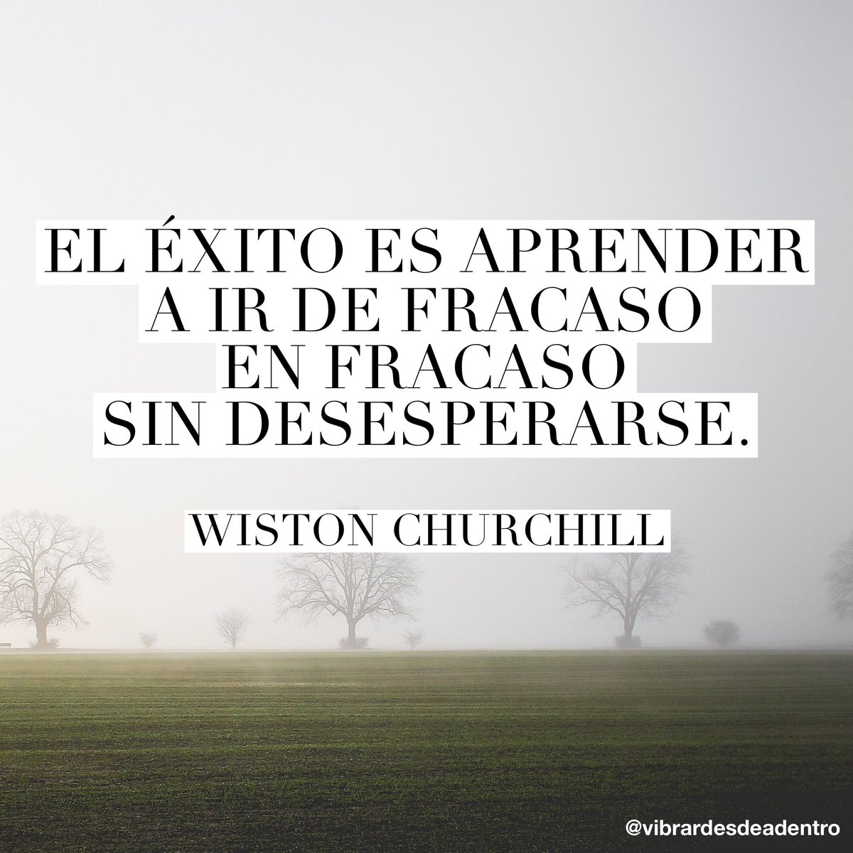 vdesdeadentro's tweet photo. 🙌🏻💛 #exito #vibrardesdeadentro #frasedeldia https://t.co/TKGp7UFvIK