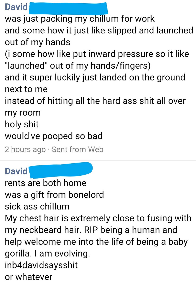 David Says Stuff tweet media