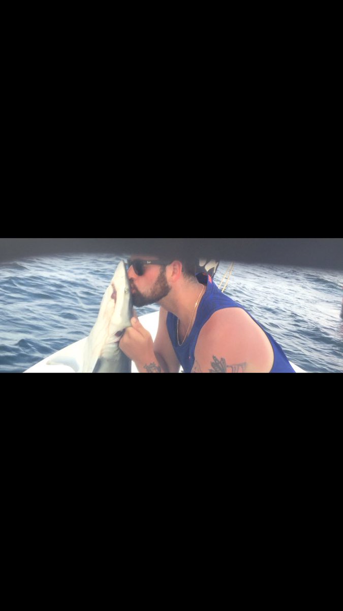 Sensei_GrantH's tweet photo. Shark week? https://t.co/PSp09IIE6F