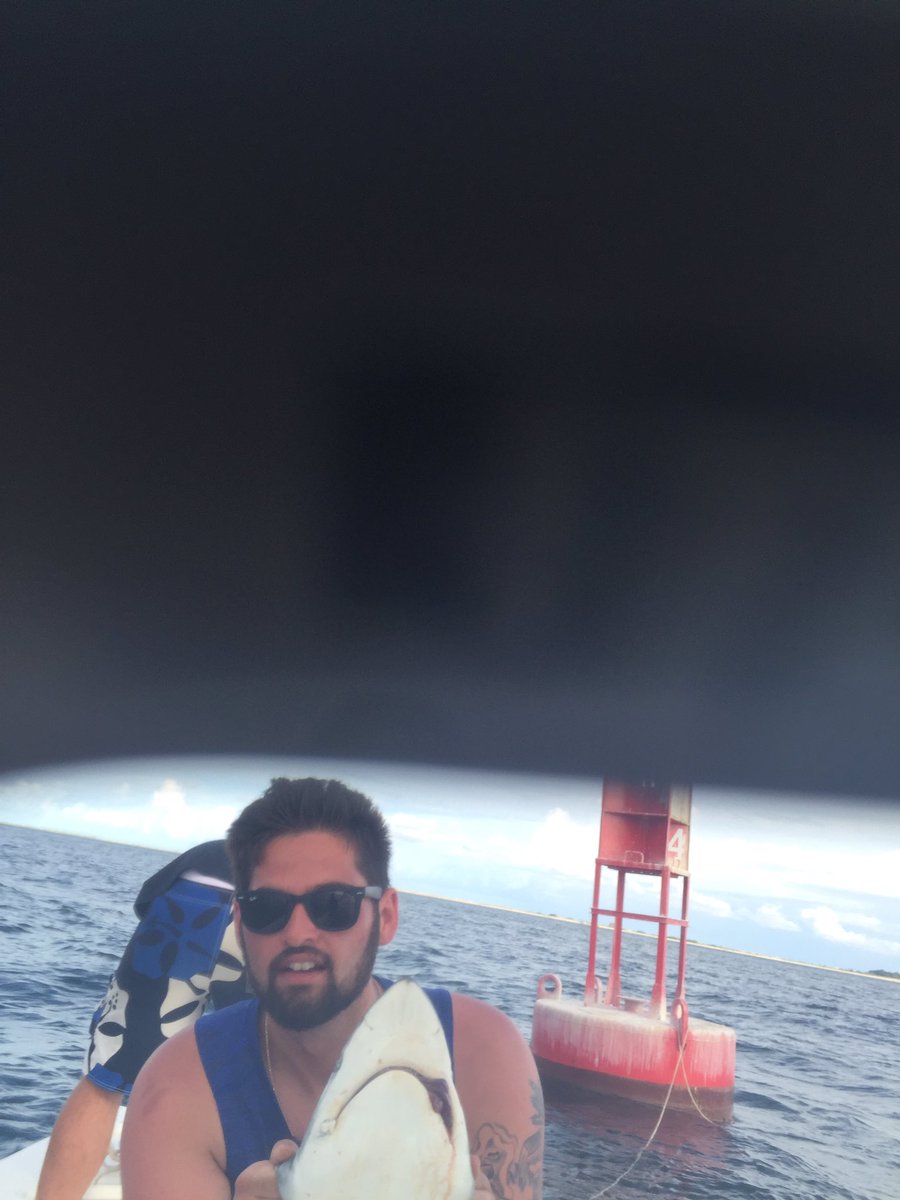 Sensei_GrantH's tweet photo. Shark week? https://t.co/PSp09IIE6F
