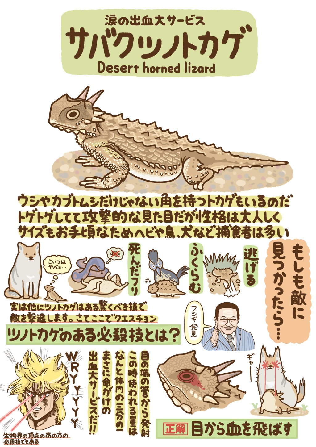 高橋のぞむ ゆるかわ古生物図鑑発売 つぶやきいきもの図鑑 No 12 サバクツノトカゲ T Co Usppryzbkl Twitter