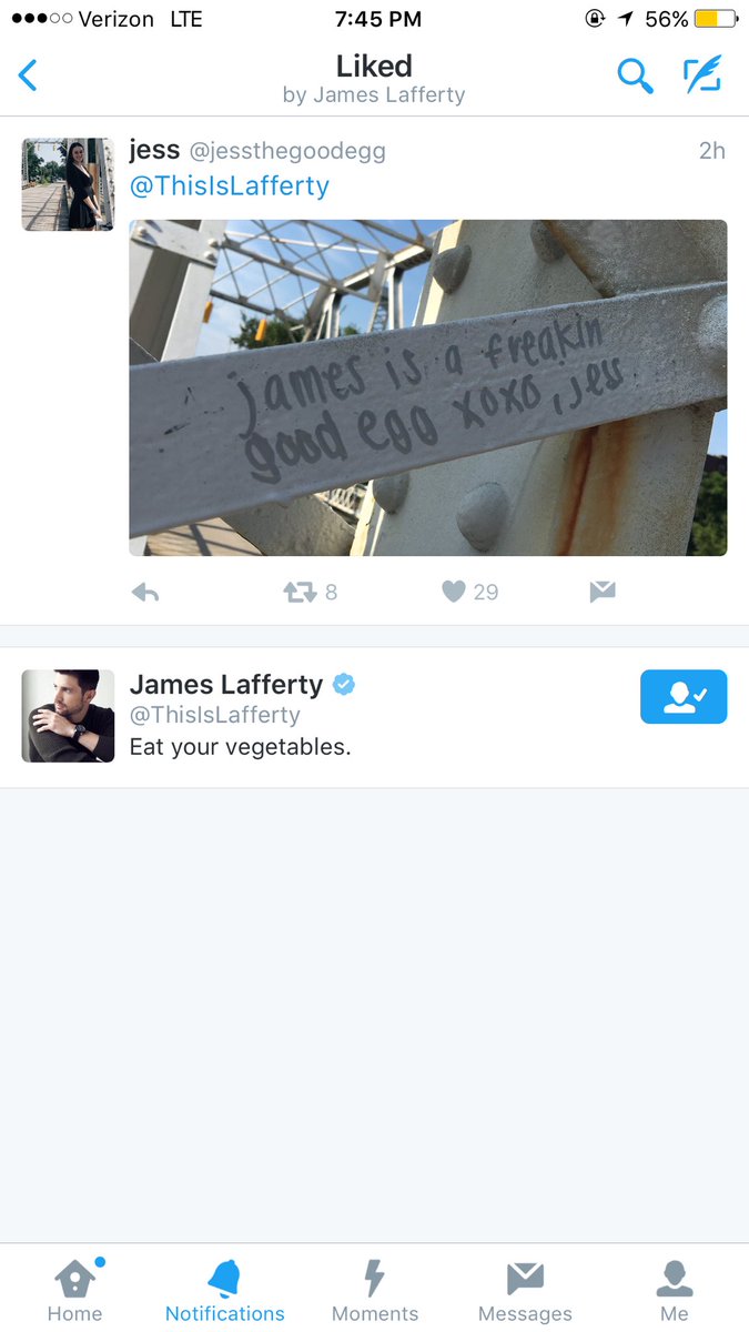 STOP mad love for the eggs <a href="/ThisIsLafferty/">Go go tiger</a>