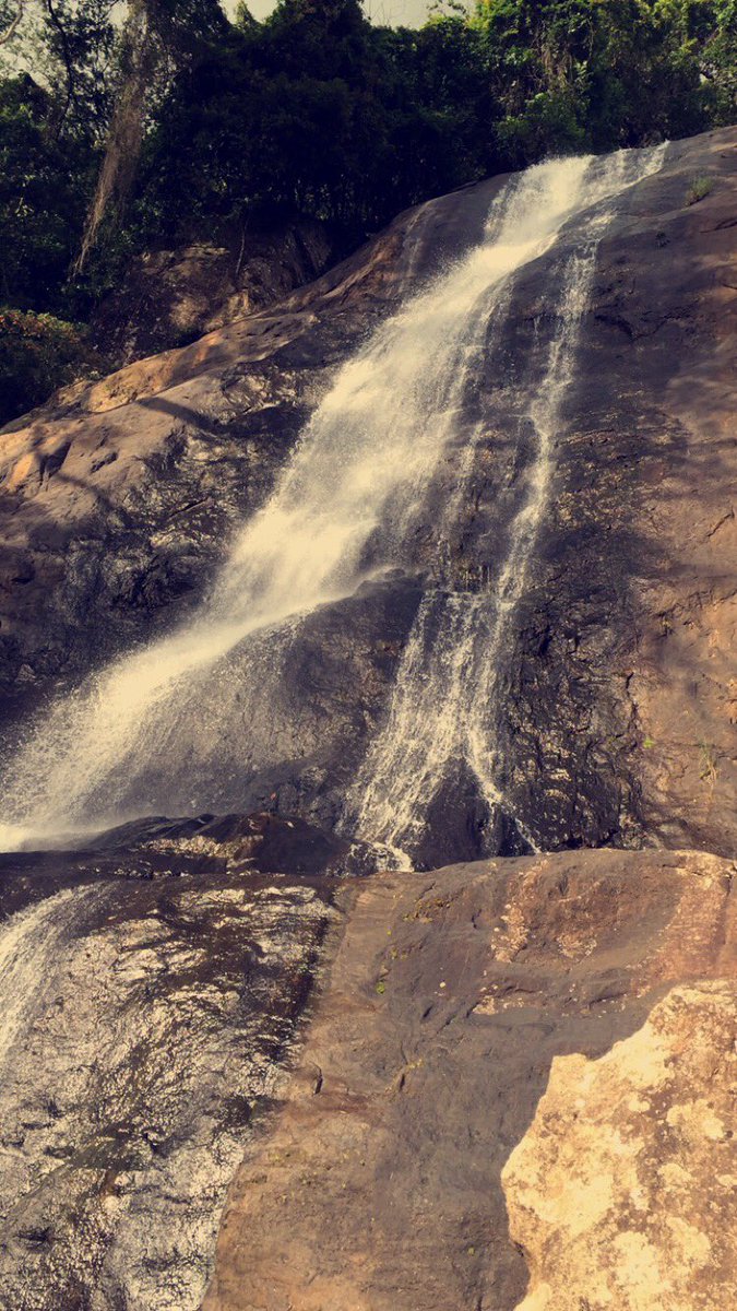 _thiqah's tweet photo. رحلتي الئ سريلانكا 🐘🇱🇰😍 
موثقه في سنابي 

#سناب #سناب_شات #اكثر_سلعه_مغشوشه_في_بلدك #سريلانكا #كاندي #رحله #سفر https://t.co/CRo89VssYA
