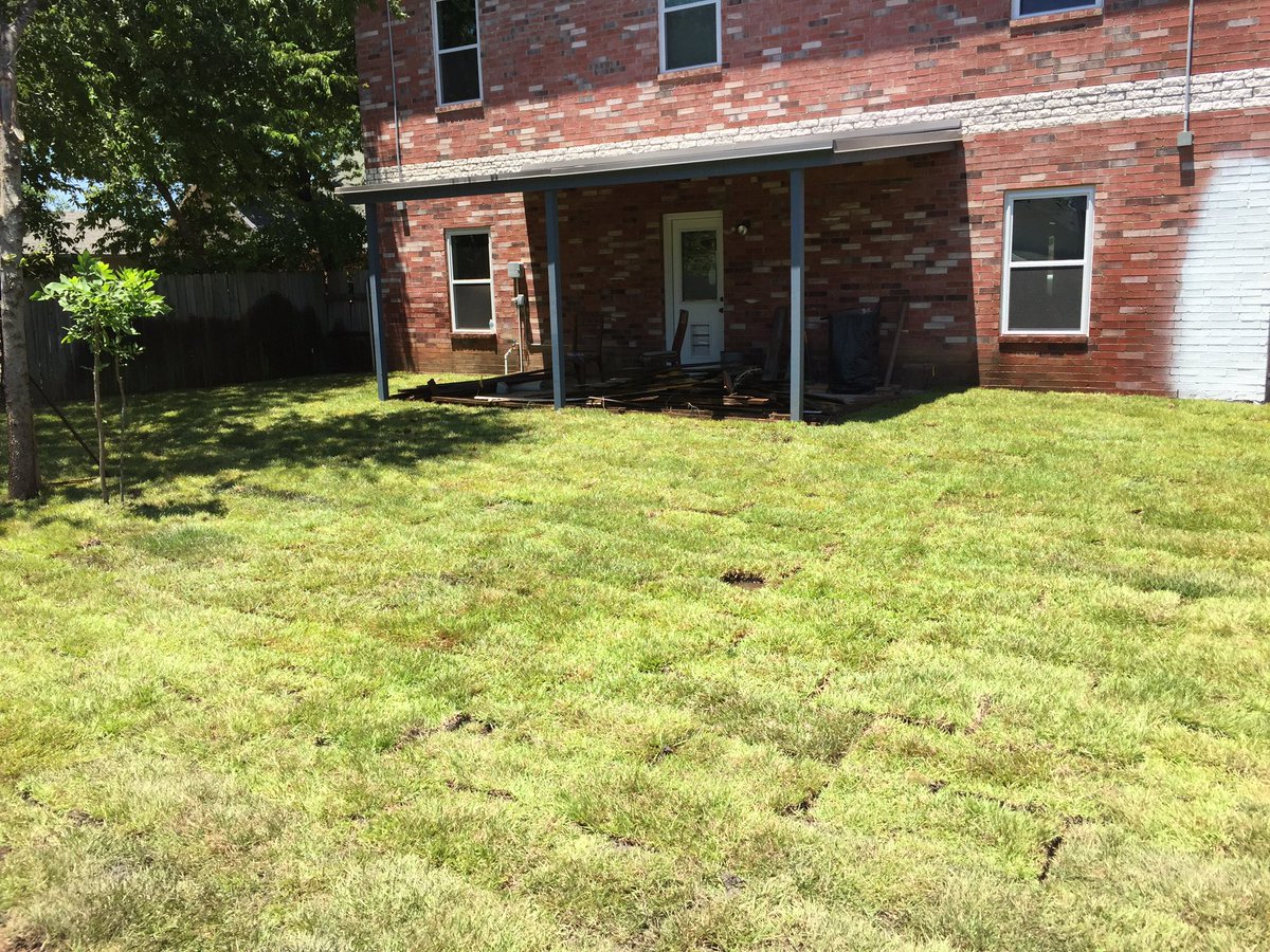 mirlefthome's tweet photo. Instant yard #kloudnine https://t.co/hliQ7cBWDn