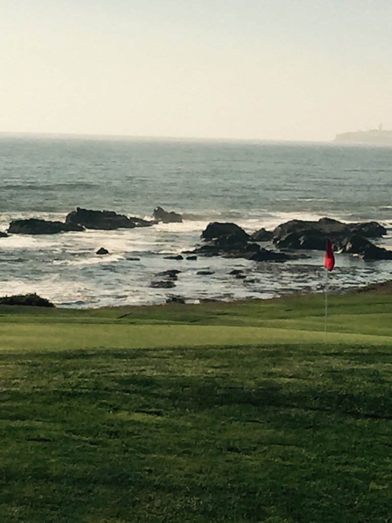 Susan MacDermid tweet media