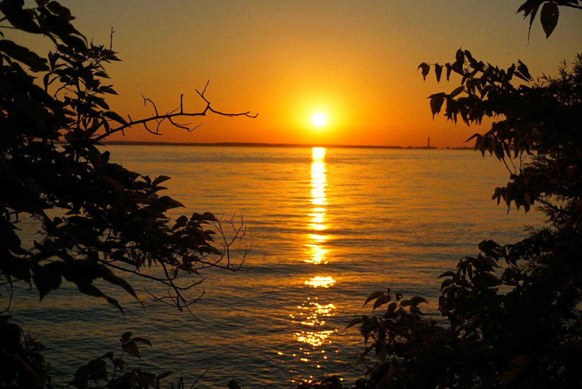 MosesCLE's tweet photo. #Sunset @Kelleys_Island @BethHMcLeod @CoastalOhio @LakeErieResorts @TheWineSpotCH #LakeErieLove #KI #OHIO #KI2016 https://t.co/BcNFNKl7Mo