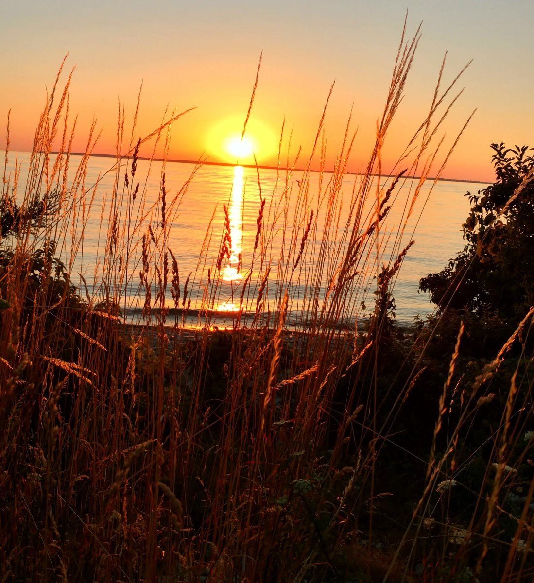 MosesCLE's tweet photo. #Sunset @Kelleys_Island @BethHMcLeod @CoastalOhio @LakeErieResorts @TheWineSpotCH #LakeErieLove #KI #OHIO #KI2016 https://t.co/BcNFNKl7Mo