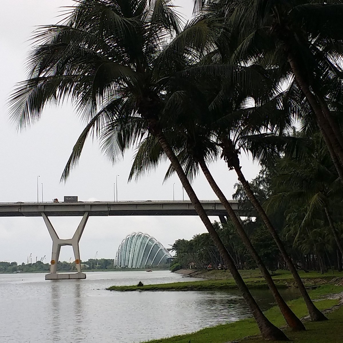 slim168's tweet photo. Is that a giant clam under the bridge? https://t.co/8arAiNSu8v
