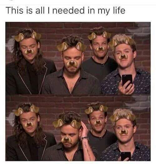 ladirectionerXD's tweet image. #6YearsOfOneDirection
Merci, grâce à vous j&apos;ai passé les 6 plus belles années de ma vie! a l&apos;année prochaine#7years